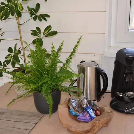 De Zwarte Els Holiday home